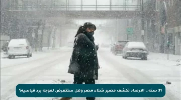 31 سنة.. الأرصاد تكشف مصير شتاء مصر وهل ستتعرض لموجة برد قياسية؟